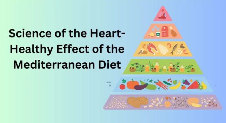 Science of the Heart-Healthy Effect of the Mediterranean Diet